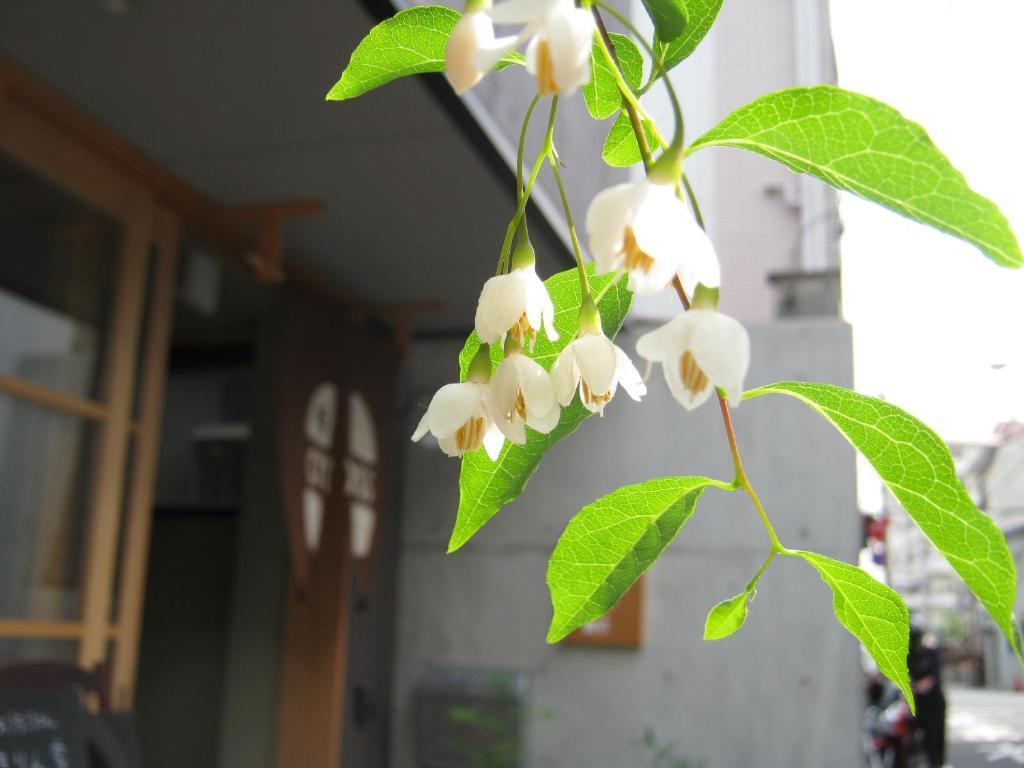 Guesthouse Hyakumanben Cross Kyoto Bagian luar foto